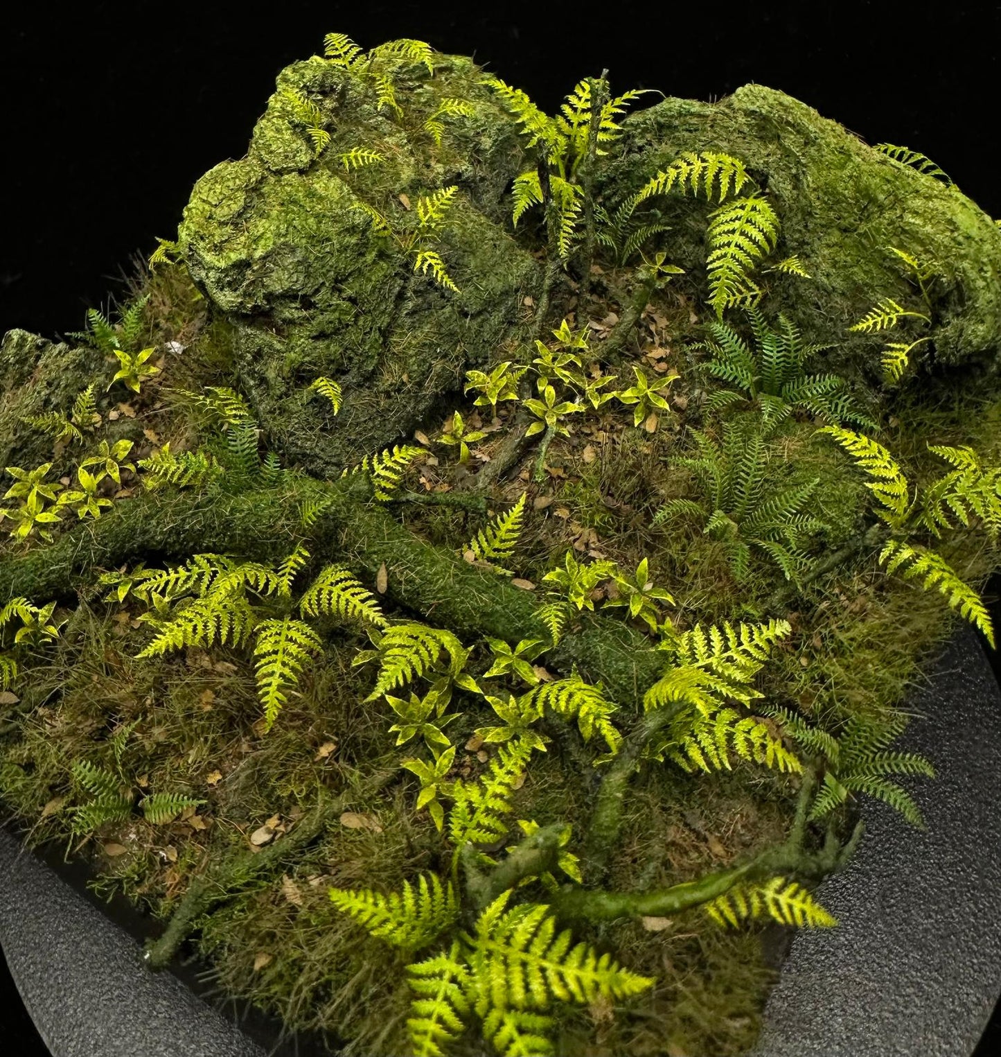 Wood Fern