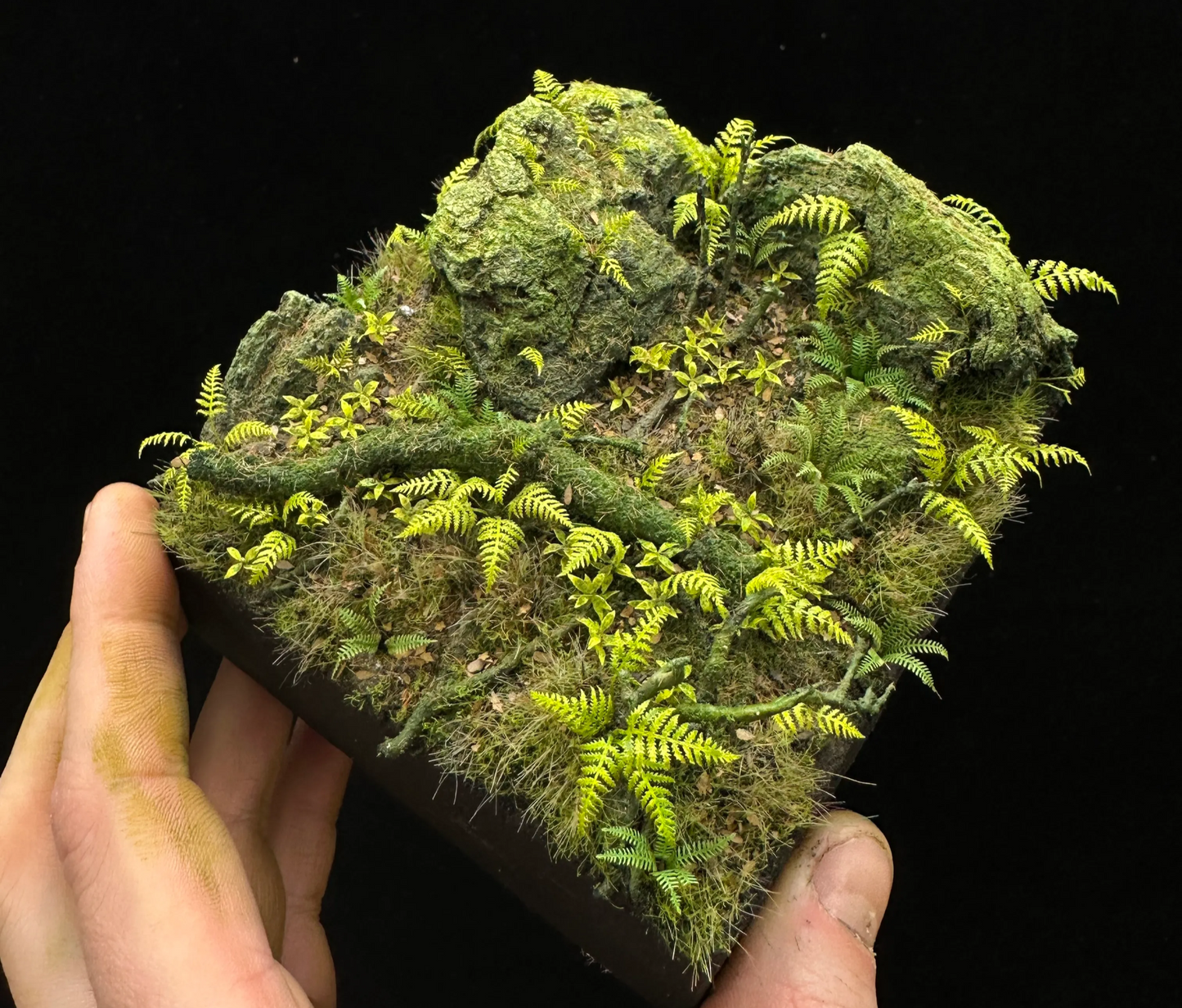 Wood Fern
