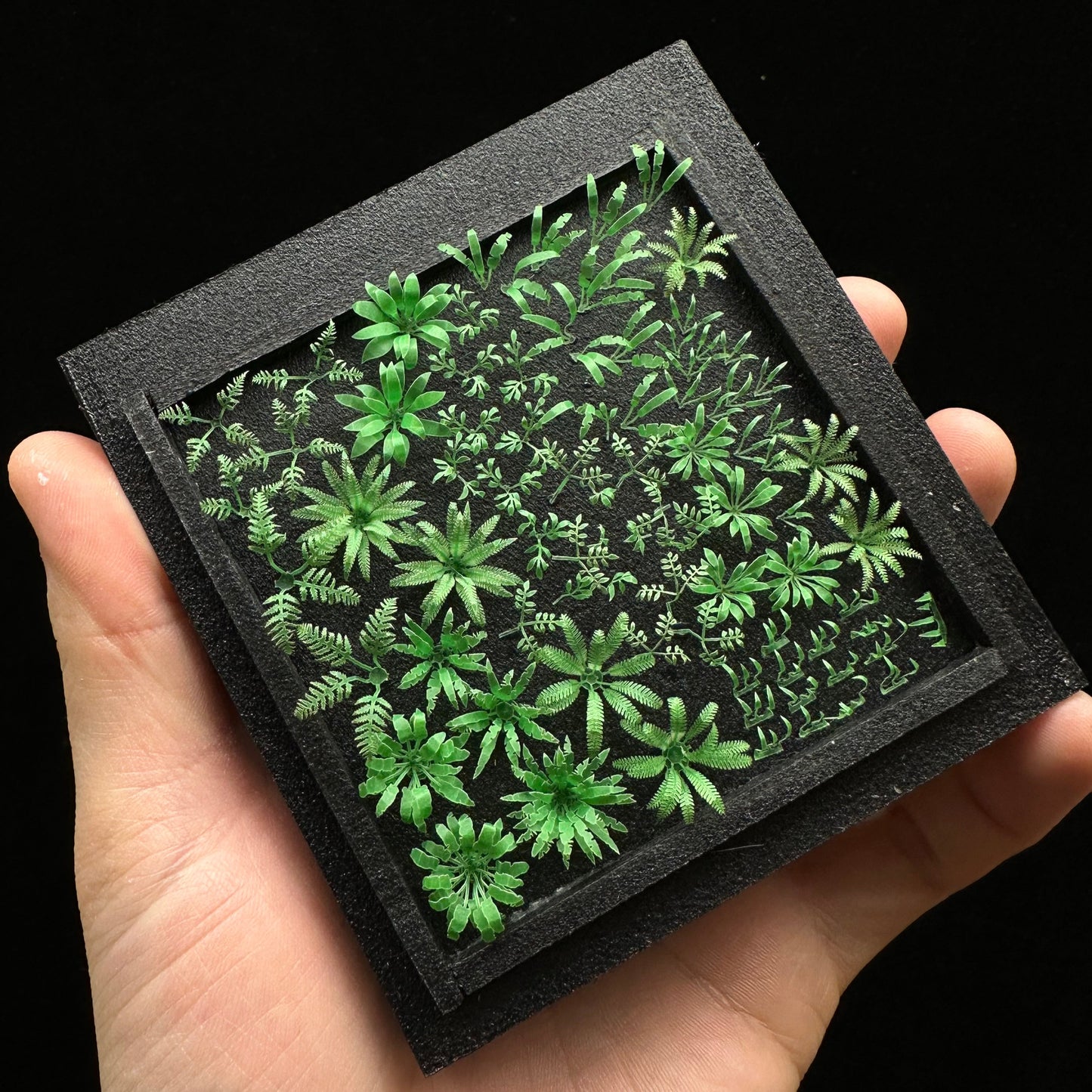 Variety 1