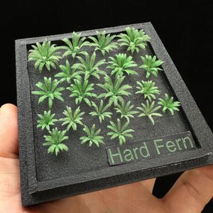 Hard Fern