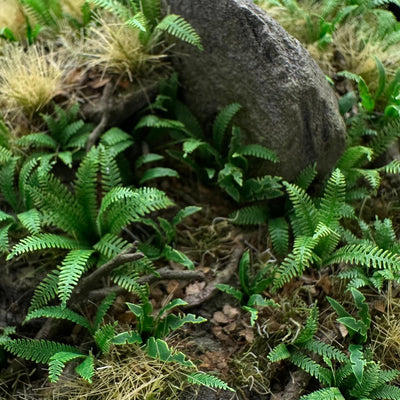 Hard Fern