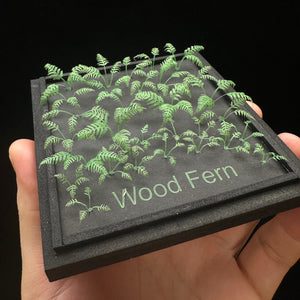 Wood Fern