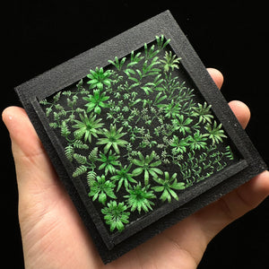 Variety 1