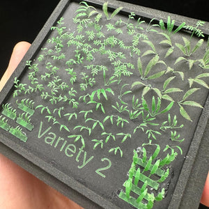 Variety 2