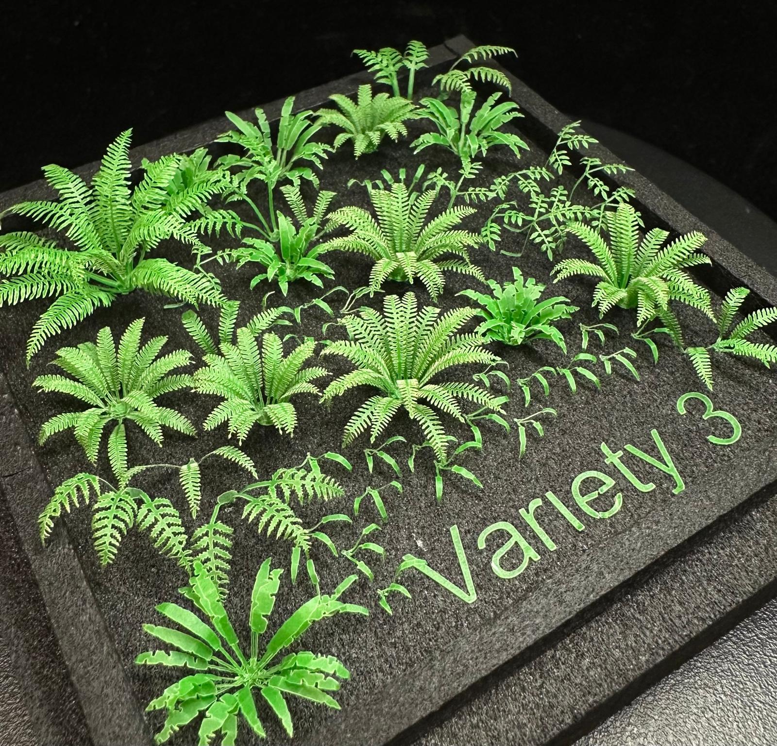 Variety 3