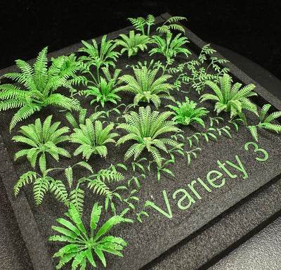 Variety 3