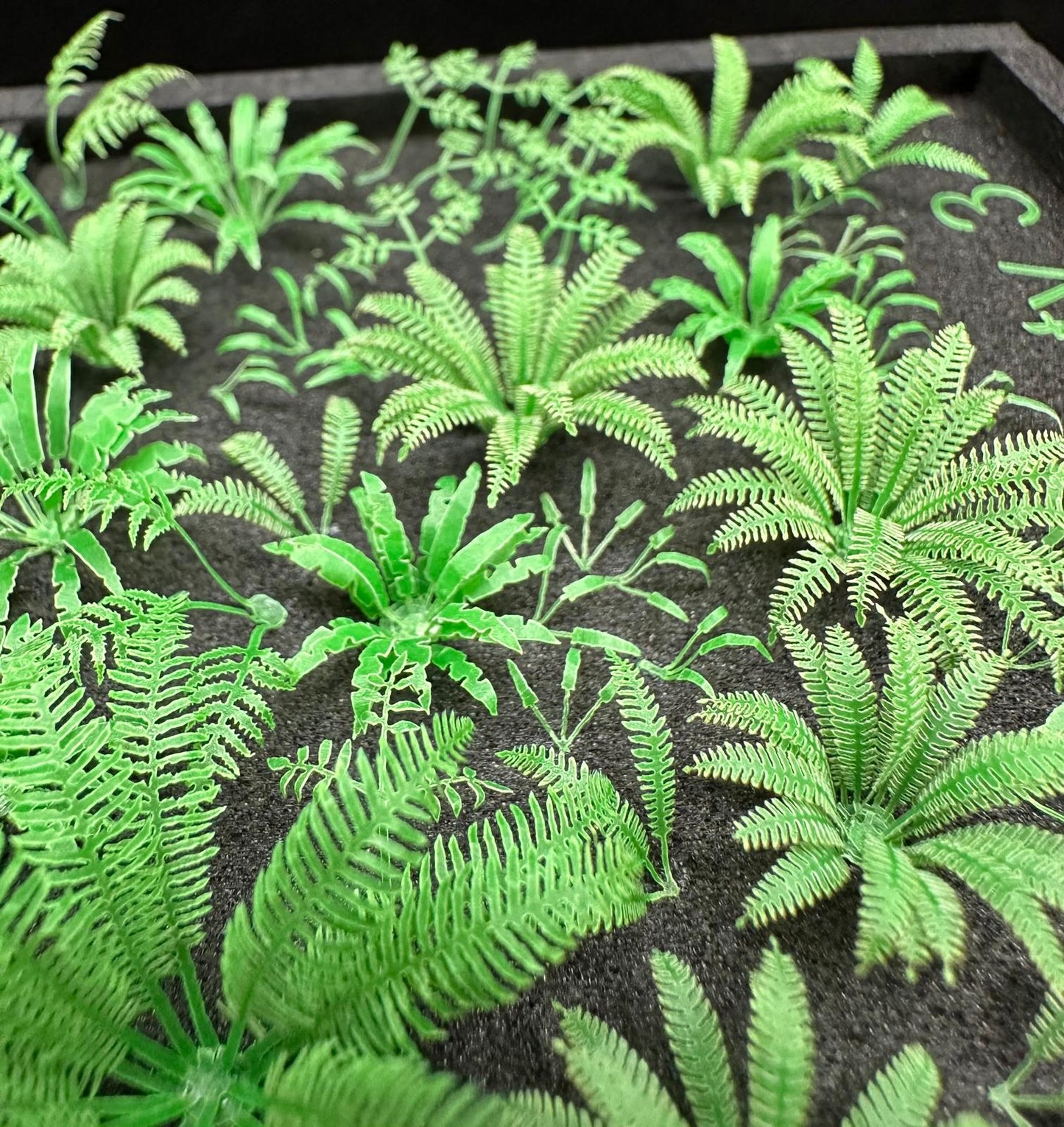 Variety 3