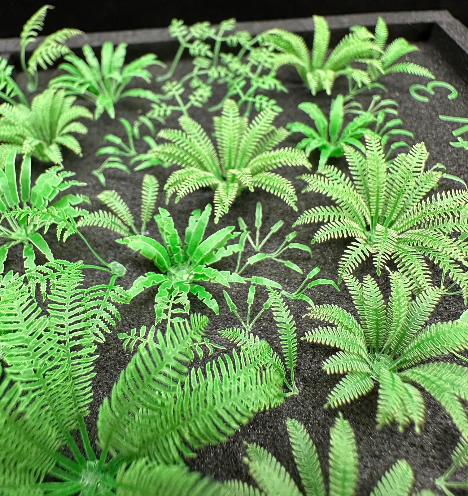 Variety 3
