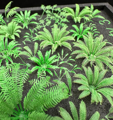 Variety 3