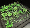 Variety 3