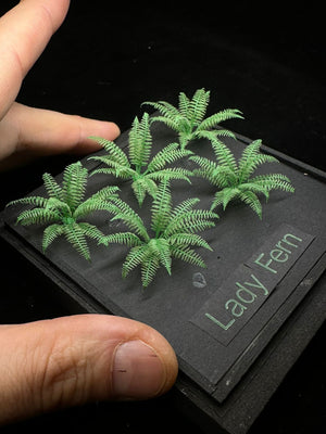 Lady Fern
