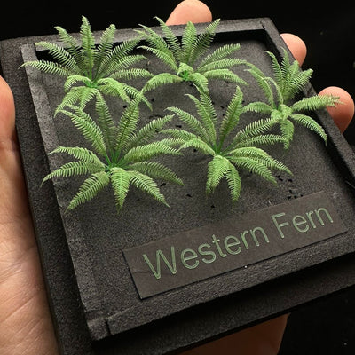 Western Fern