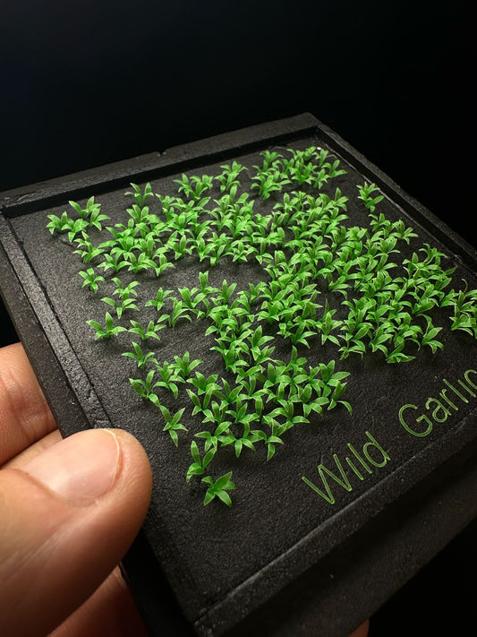 Wild Garlic