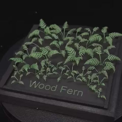 Wood Fern