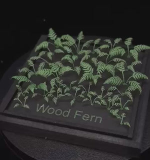 Wood Fern