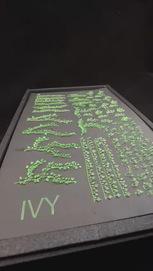 Ivy